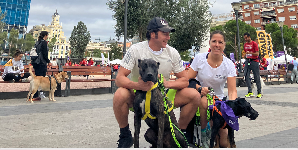 Perrotón Madrid 2022