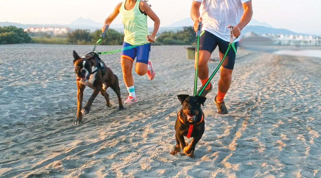 Dog running, trekking & love  HUCAN vibes 2020